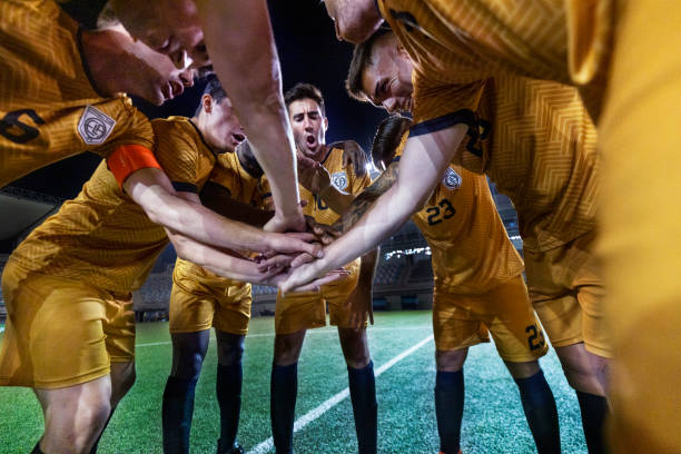 个阶段取得 个阶段取得