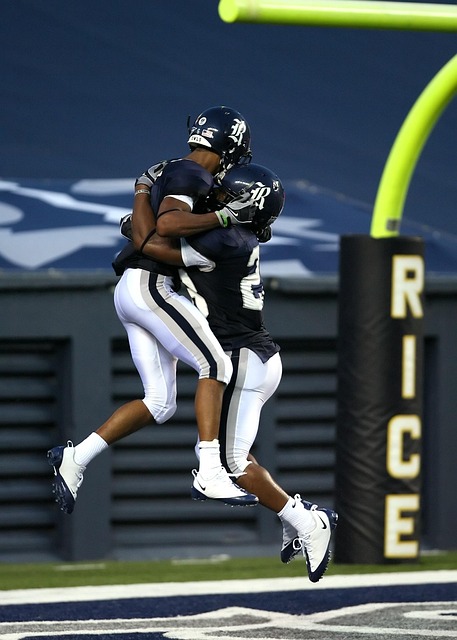 不仅可以获 不仅可以获